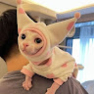 Meet your Posher, Gaby